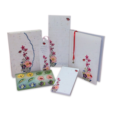 Deluxe Ladybug Stationery Gift Set