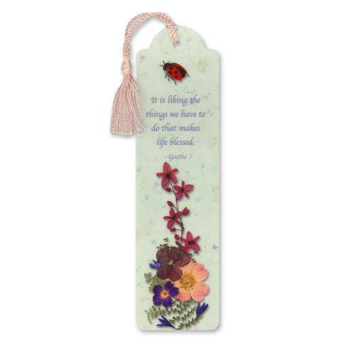 Ladybug Bookmark Image