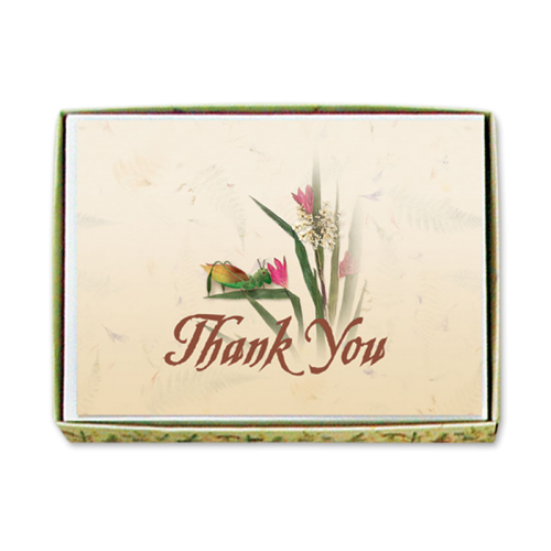 Cricket Thank You Cards Image