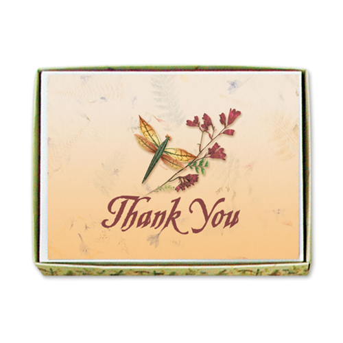 Dragonfly Thank You Cards Image