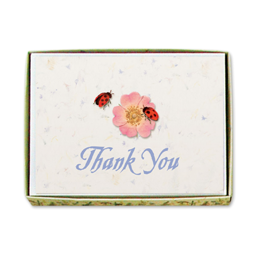 Ladybug Thank You Cards Image