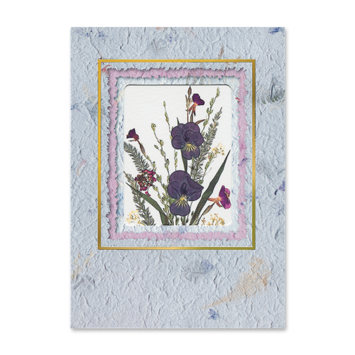 Viola Sprigs Card Image