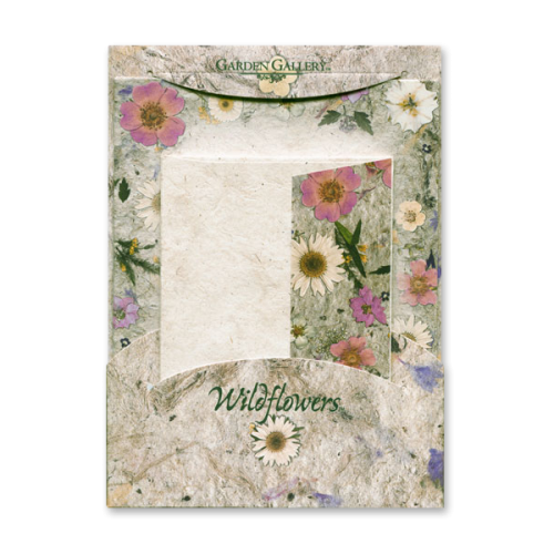Sunrose and Daisy Wildflower Premium Stationery Image